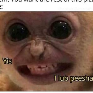 Meet your Posher, Torri